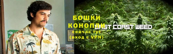 ECSTASY Лиски