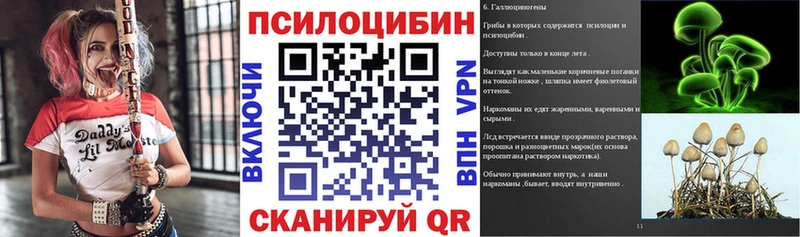 blacksprut рабочий сайт  Туапсе  Галлюциногенные грибы Psilocybe 