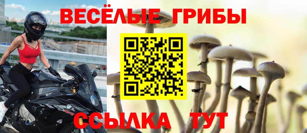 Туапсе  Псилоцибиновые грибы Cubensis  Вход с VPN 