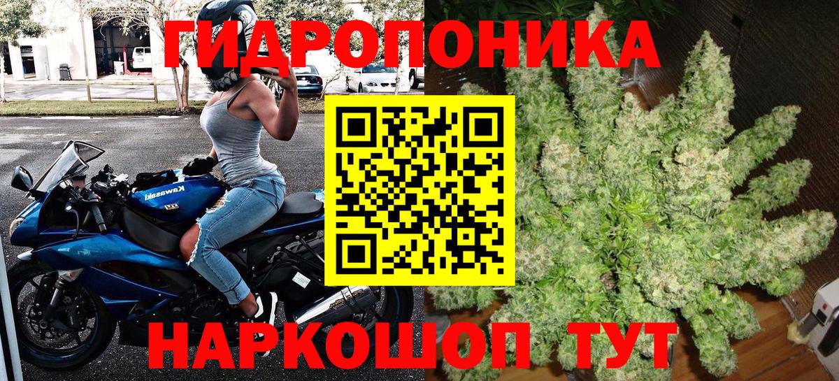 Бошки марихуана план  Шишки марихуана тримм  Туапсе  Вход с VPN 